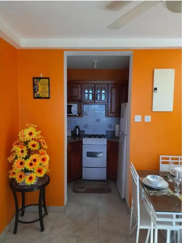 Apartmán Bruce Seacastle Vacation Penthouse Montego Bay 0*,