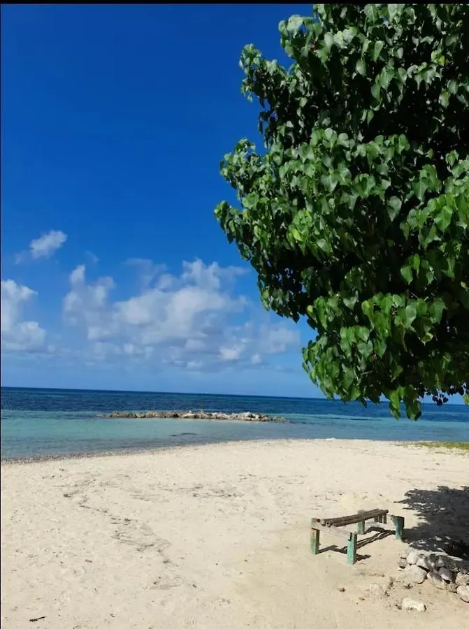 Apartmán Bruce Seacastle Vacation Penthouse Montego Bay